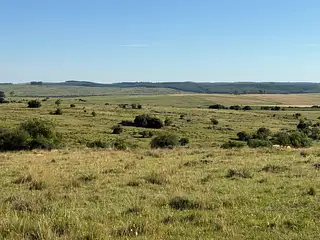 Muy buen campo Lavalleja