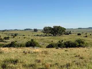 Muy buen campo Lavalleja