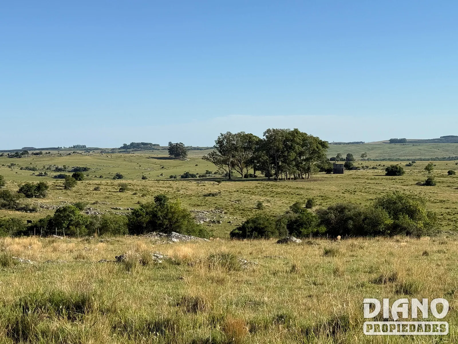 Muy buen campo Lavalleja