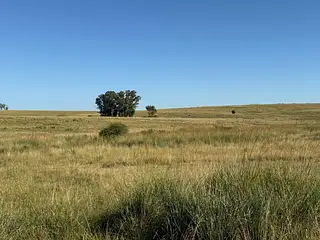 Muy buen campo Lavalleja