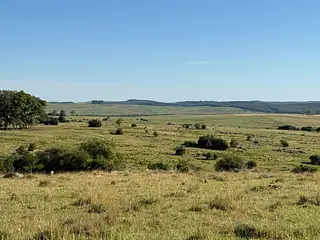 Muy buen campo Lavalleja
