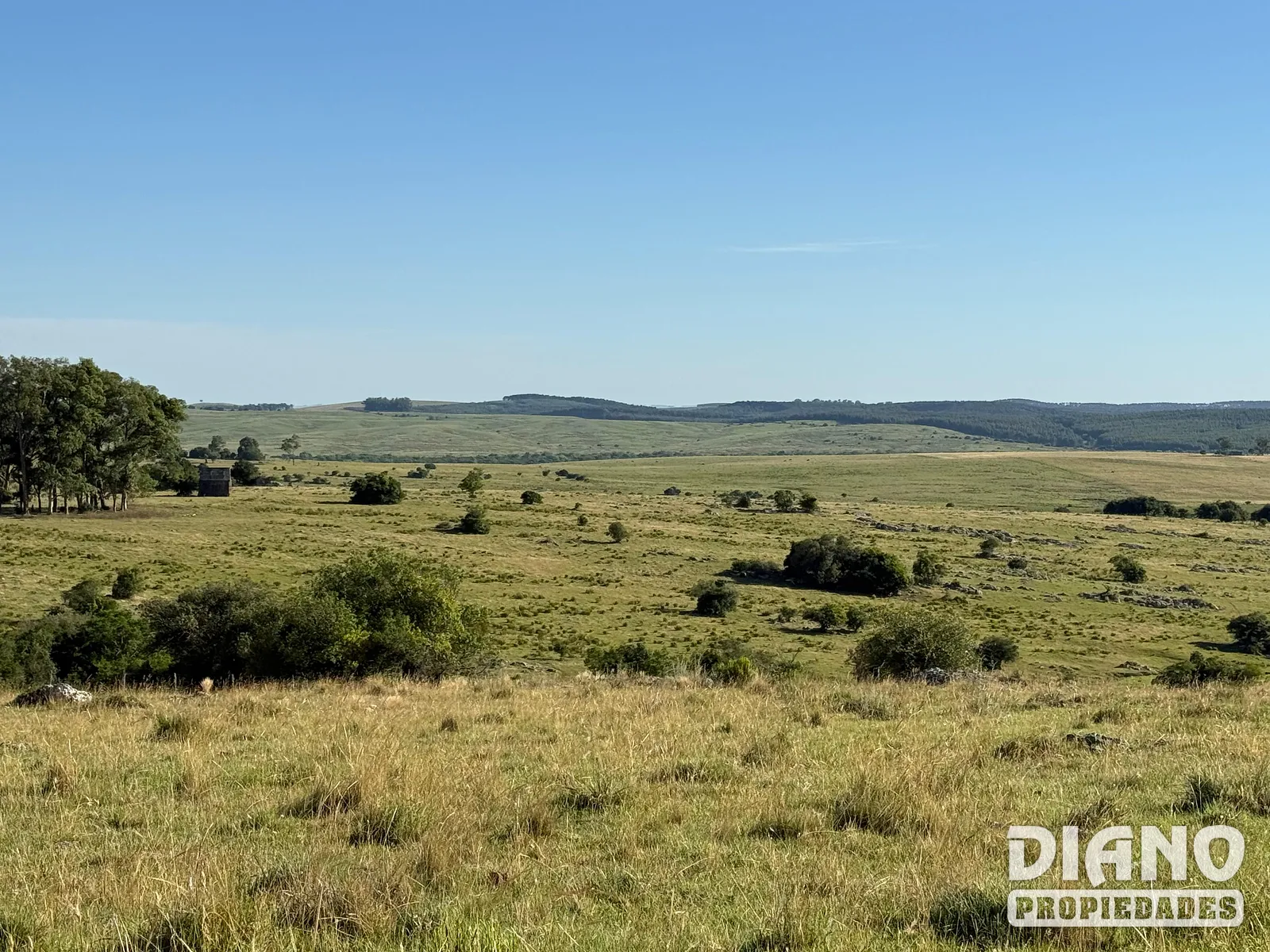 Muy buen campo Lavalleja