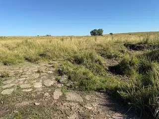 Muy buen campo Lavalleja