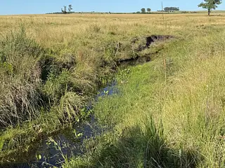 Muy buen campo Lavalleja