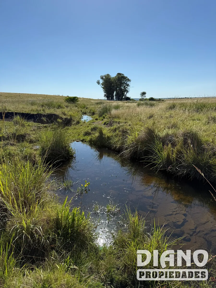 Muy buen campo Lavalleja