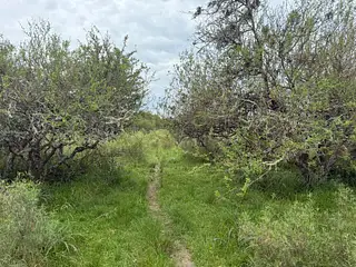Excelente Campo, Río Santa Lucía