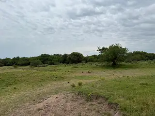 Excelente Campo, Río Santa Lucía