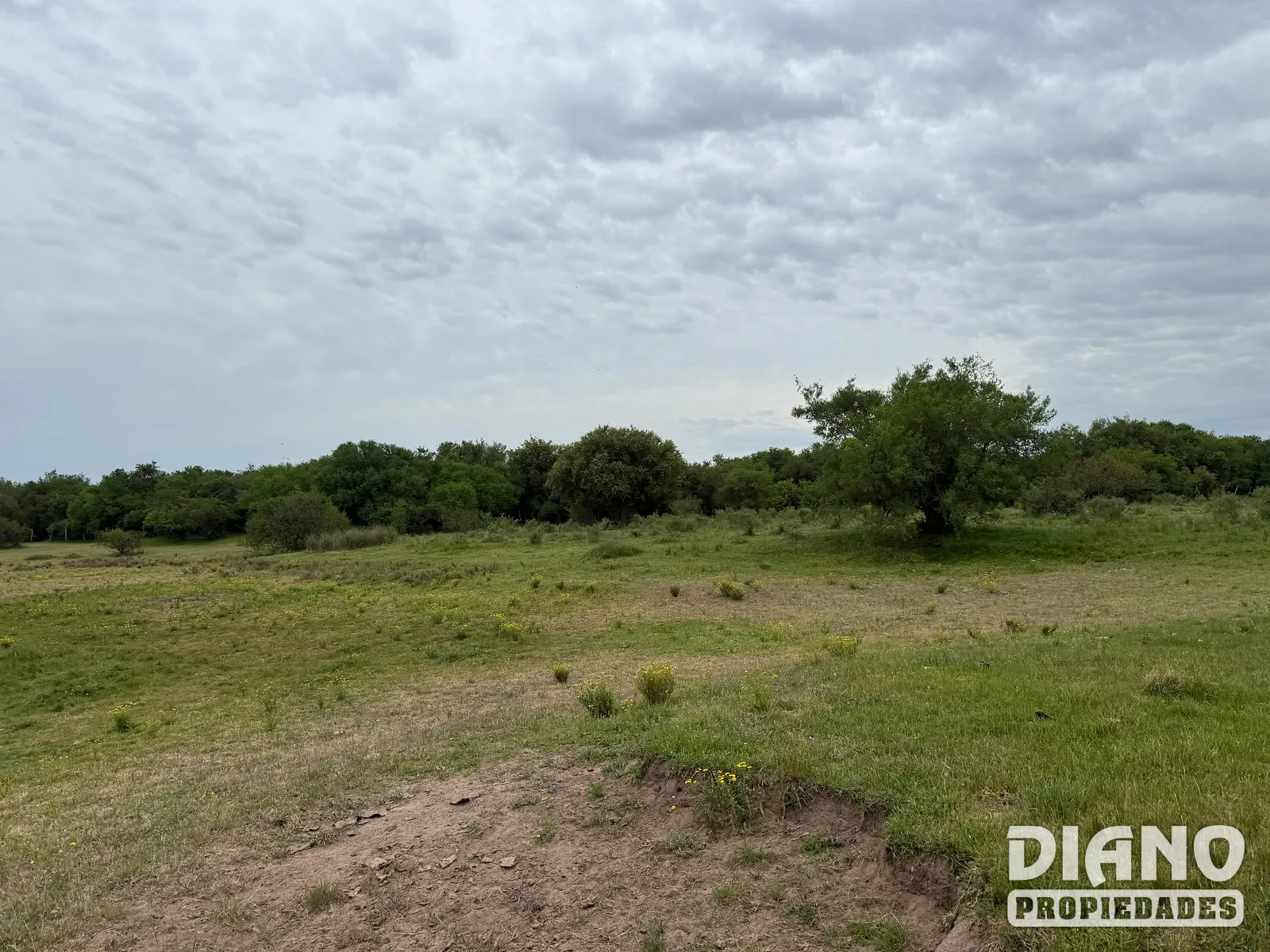 Excelente Campo, Río Santa Lucía