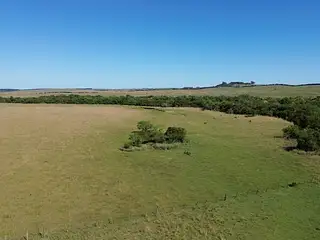 100 hectáreas invernada