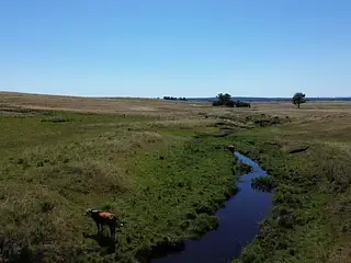 100 hectáreas invernada