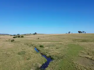 Campo agrícola