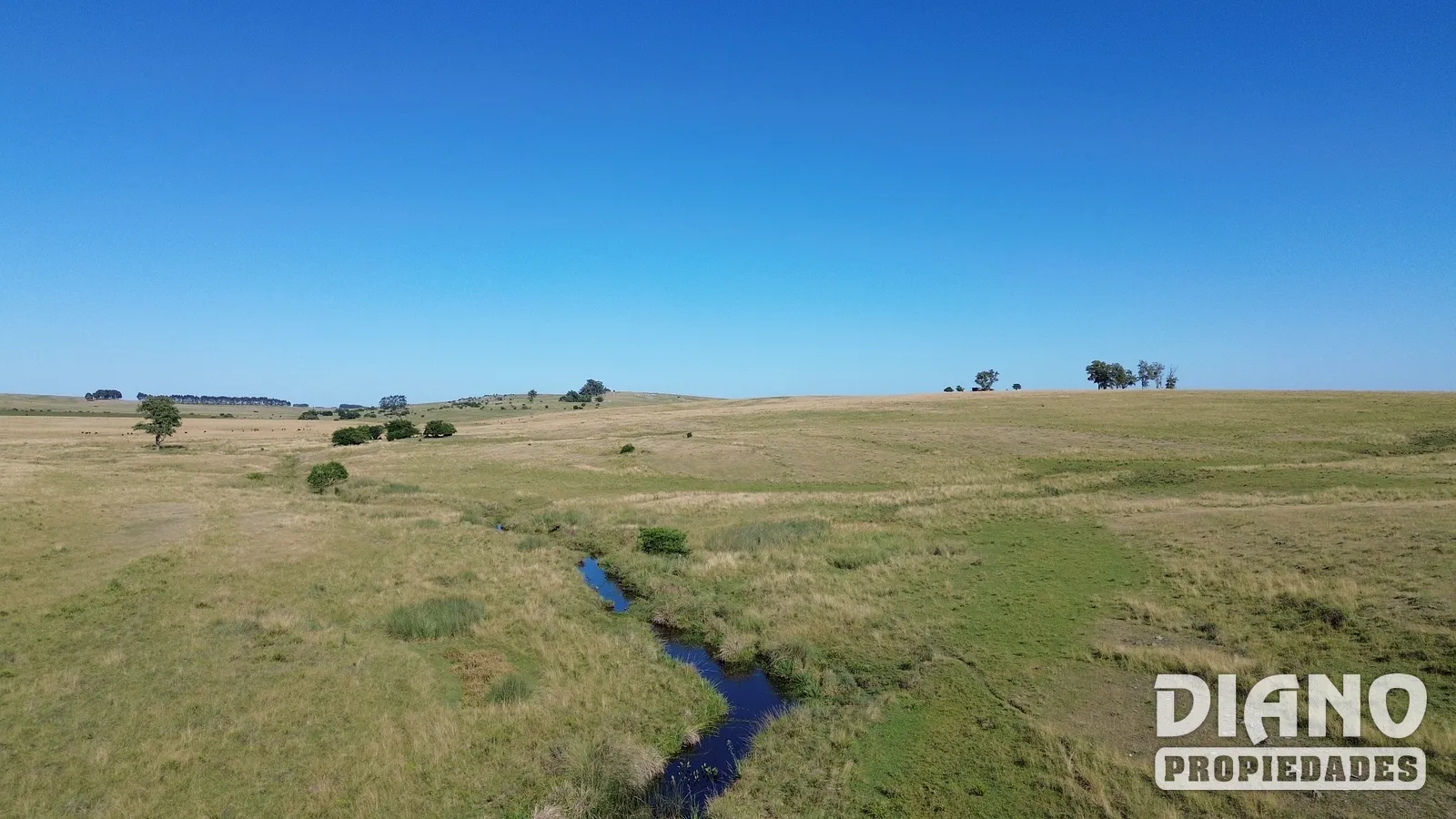 Campo agrícola