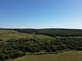 Campo agrícola