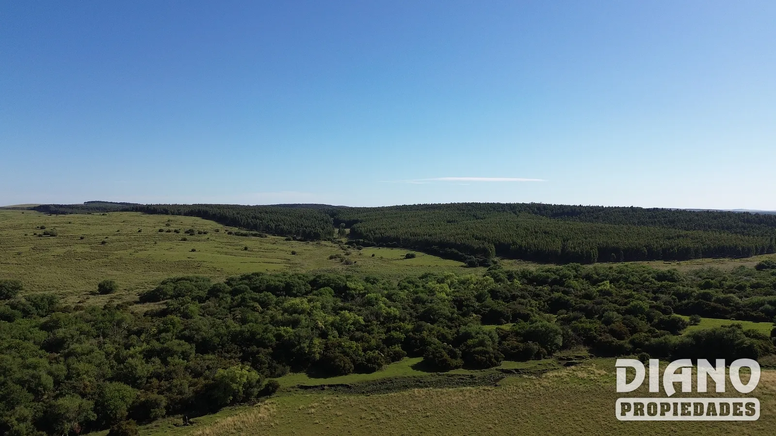 Campo agrícola