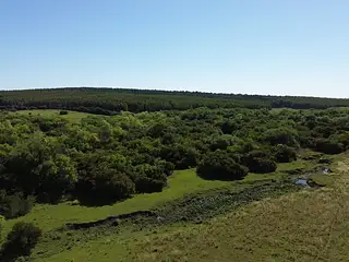 Campo agrícola