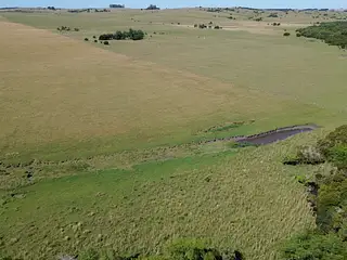 Campo agrícola