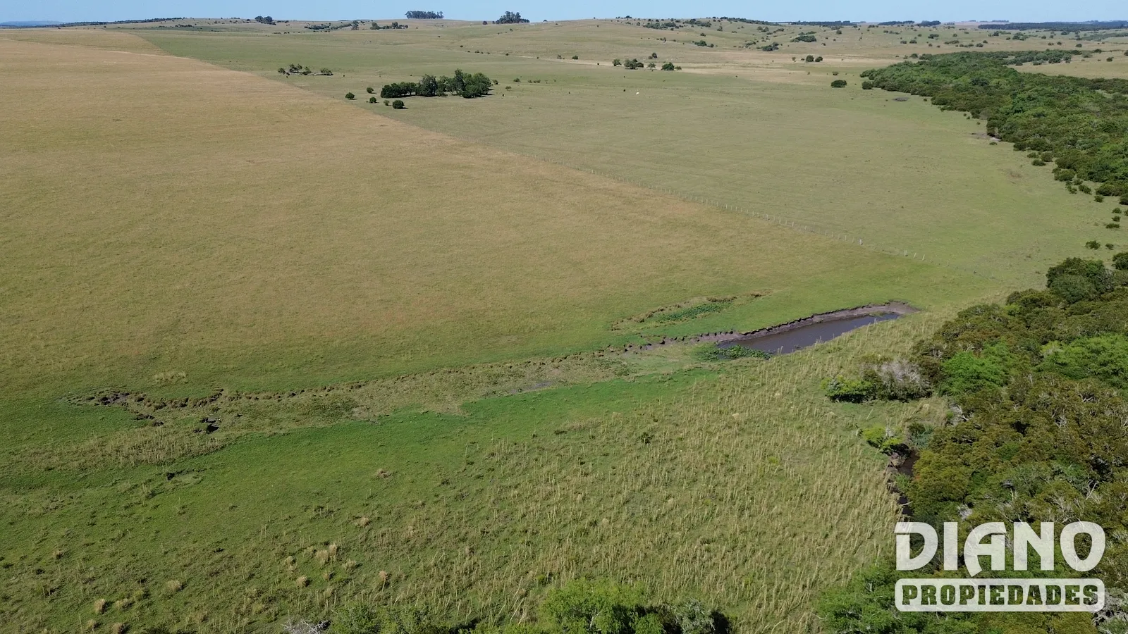 Campo agrícola