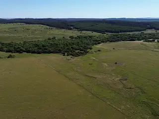 Campo agrícola