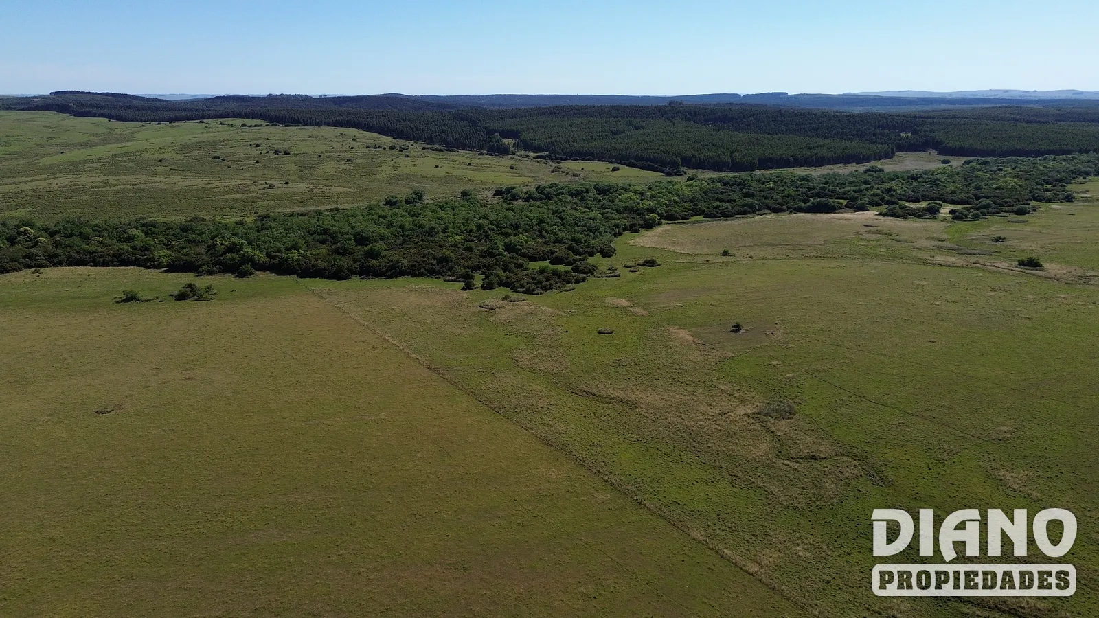 Campo agrícola