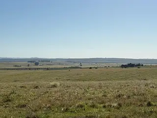 Campo agrícola