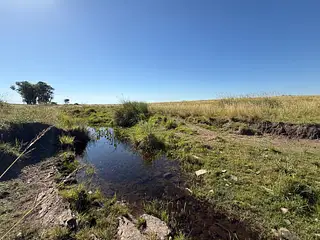 Campo agrícola
