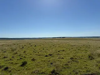 Campo agrícola