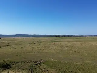 Muy buen campo Lavalleja