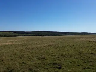 Muy buen campo Lavalleja