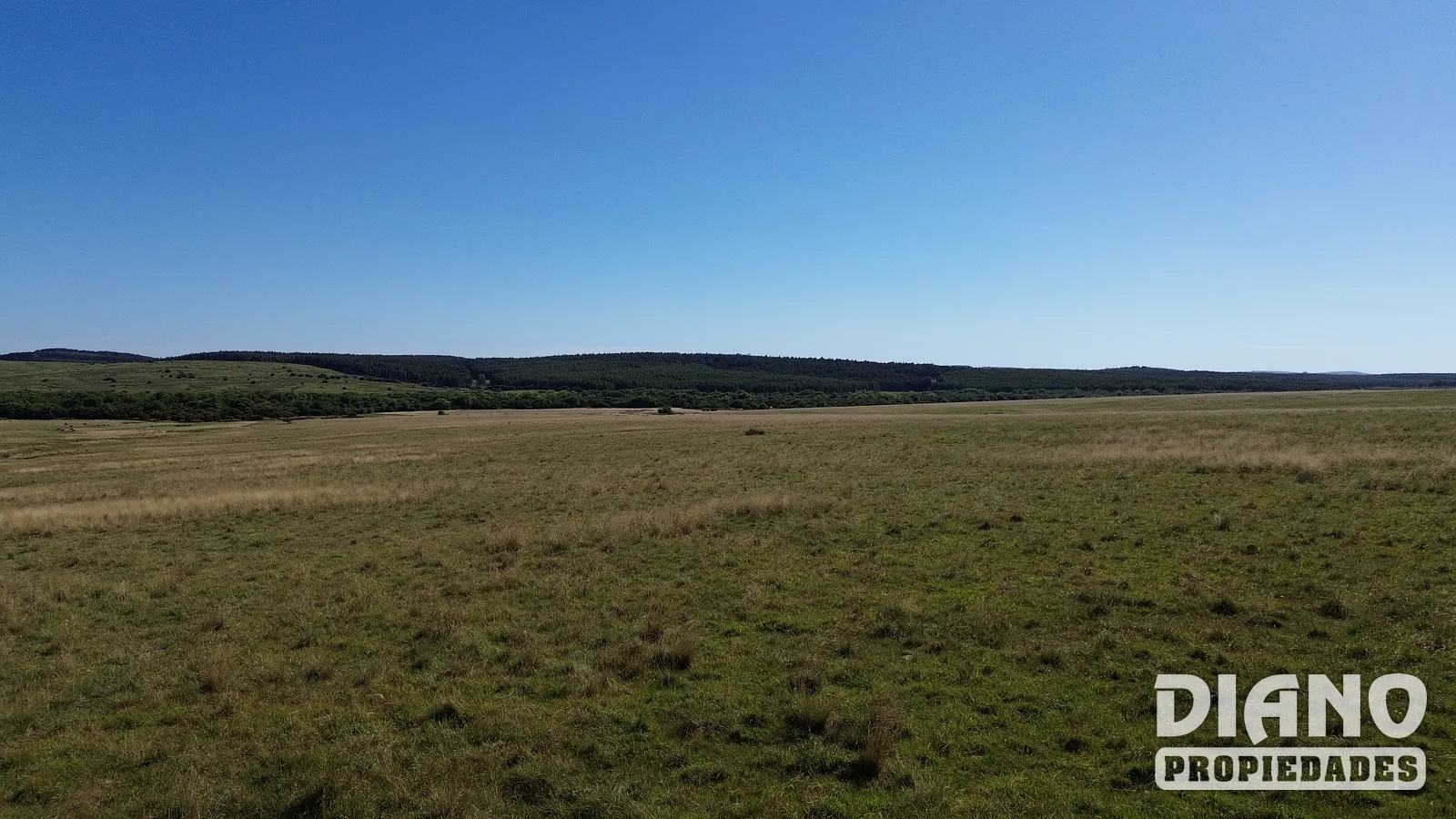 Muy buen campo Lavalleja