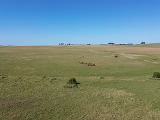 Muy buen campo Lavalleja