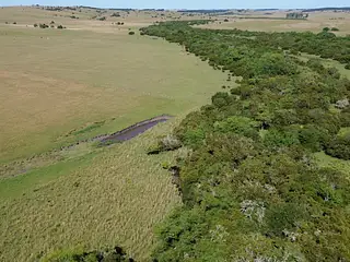 Muy buen campo Lavalleja