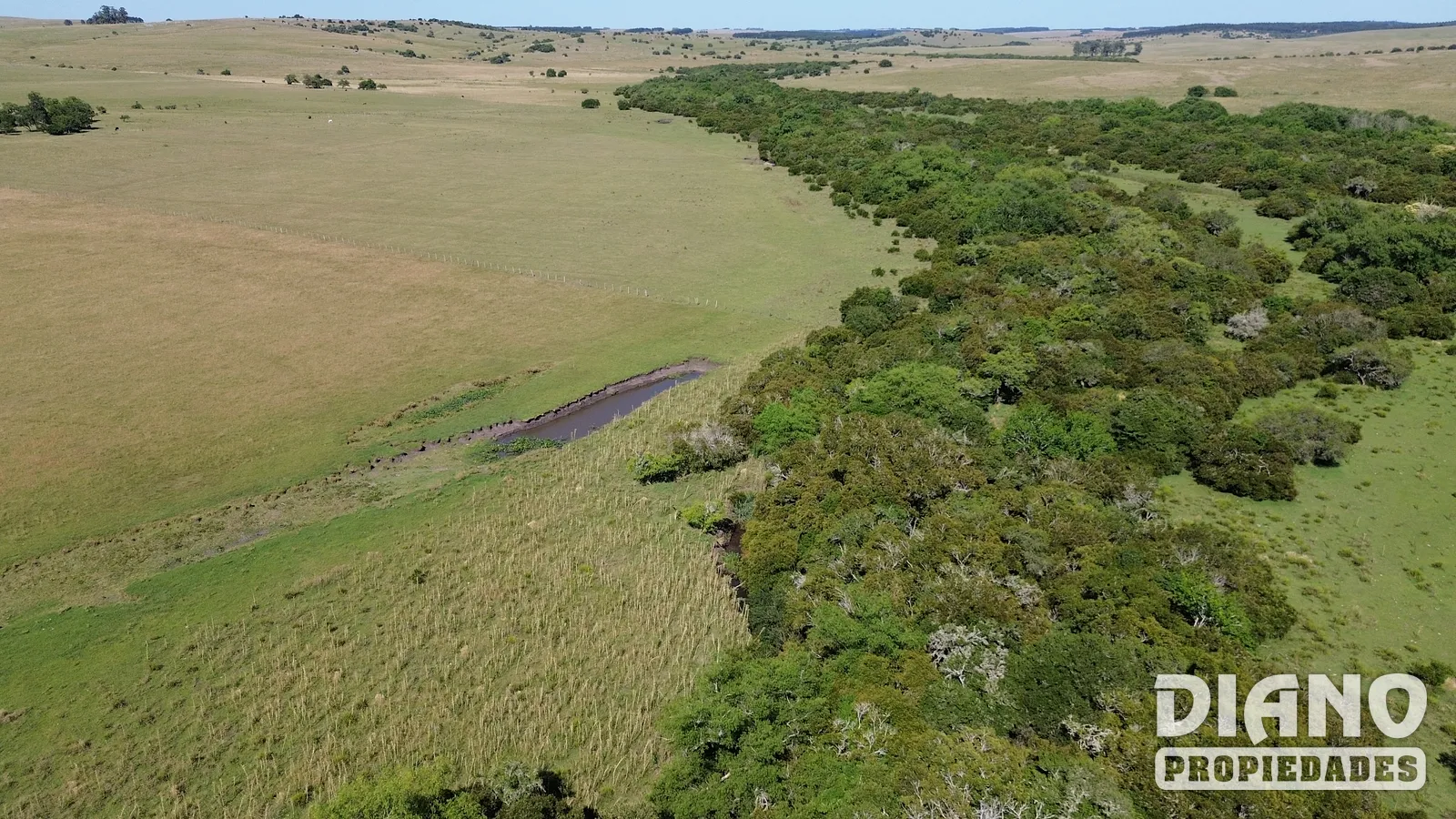 Muy buen campo Lavalleja