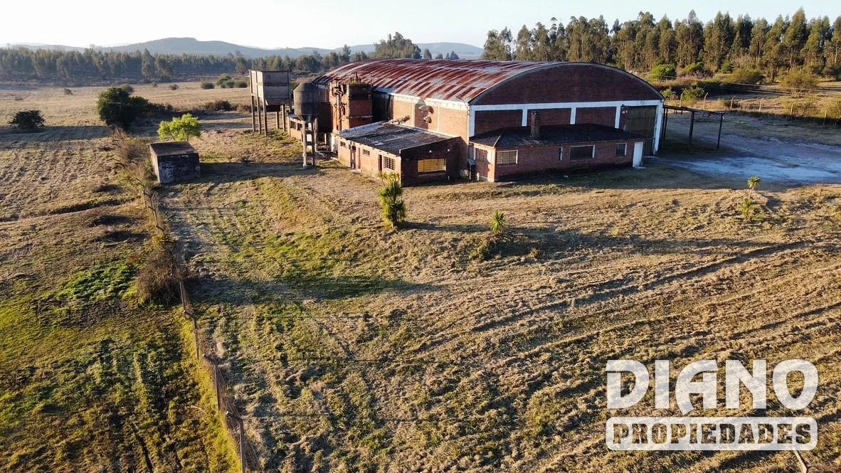 Gran Predio Urbano, 7 hectáreas, ideal Logística e industria. Minas, Lavalleja