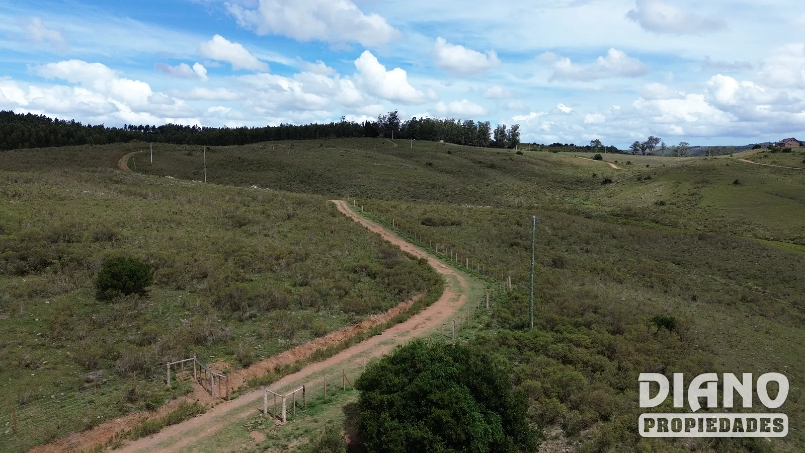 Chacras de 5 Has en Venta – Rutas 12 y 60 – Entorno Natural