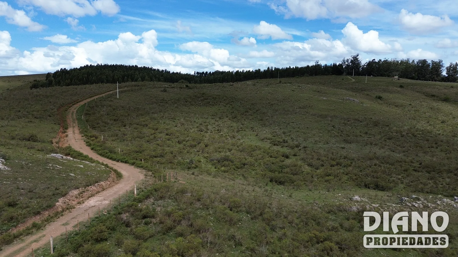 Chacras de 5 Has en Venta – Rutas 12 y 60 – Entorno Natural