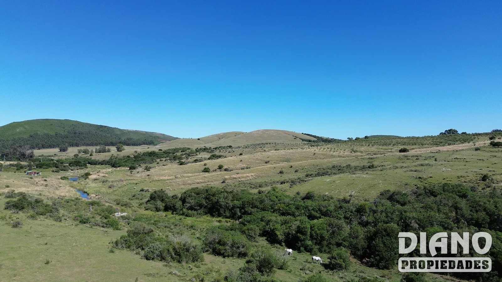 Chacra 23 Hectáreas Con Casa Y Arroyo | Lavalleja, Cerca De Minas