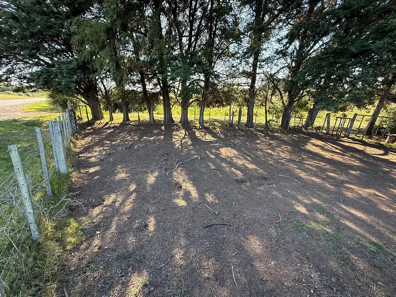 Ruta 8, campo criador