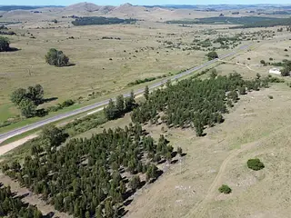 Ruta 8, campo criador