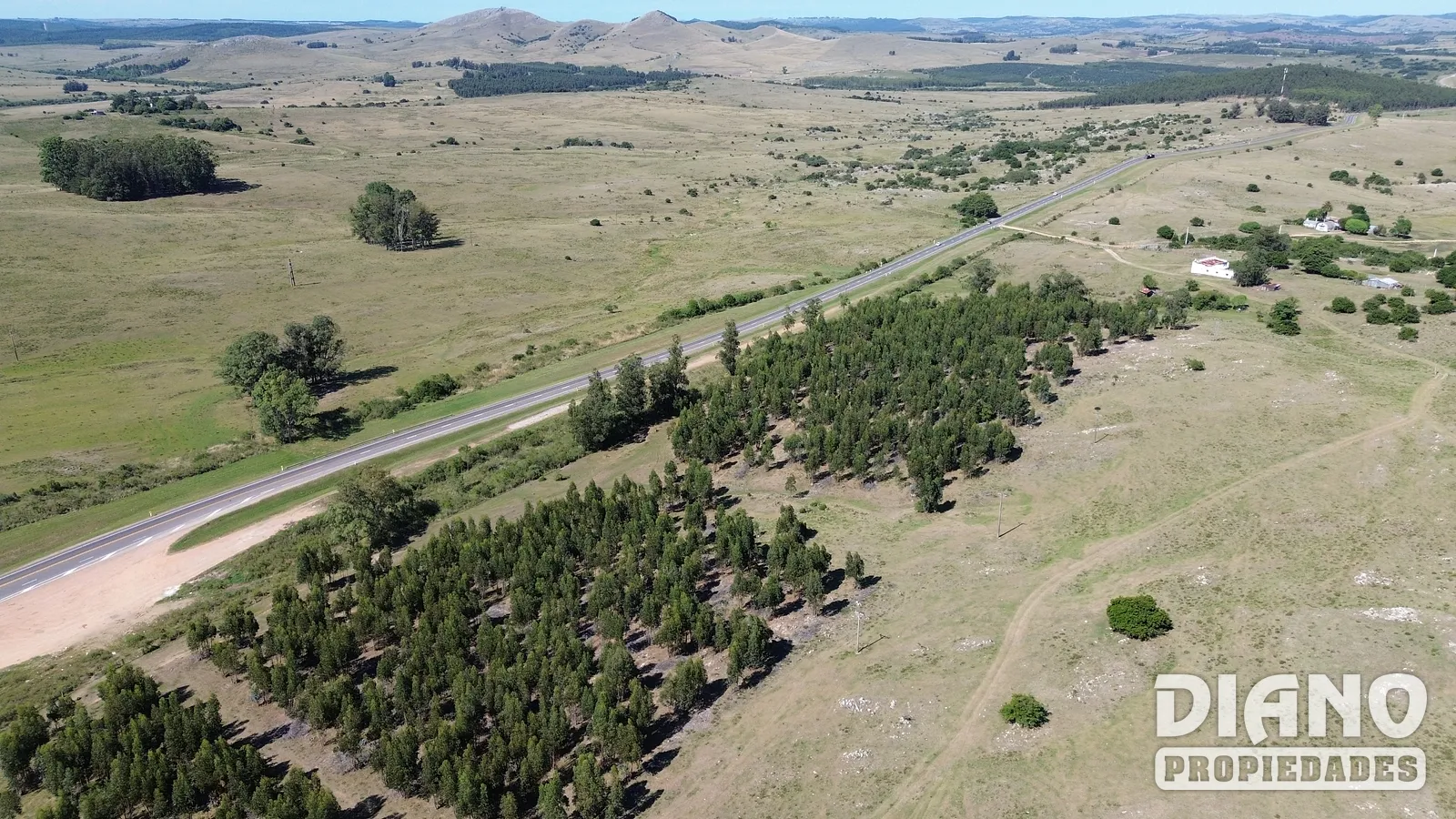 Ruta 8, campo criador