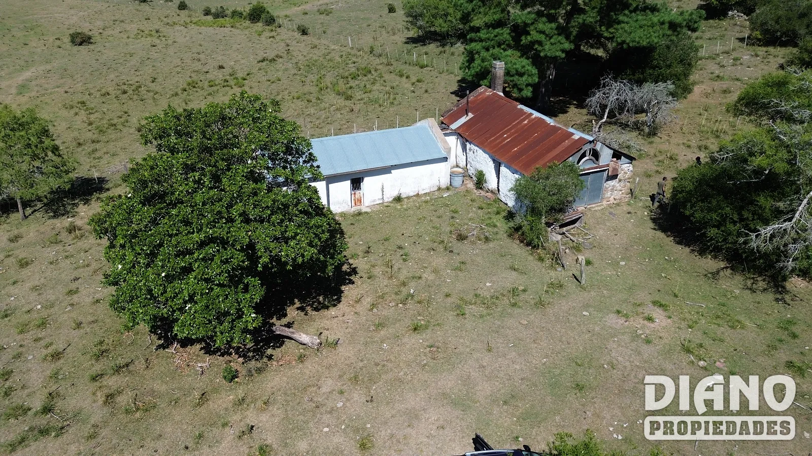 Ruta 8, campo criador