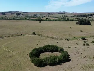 Ruta 8, campo criador