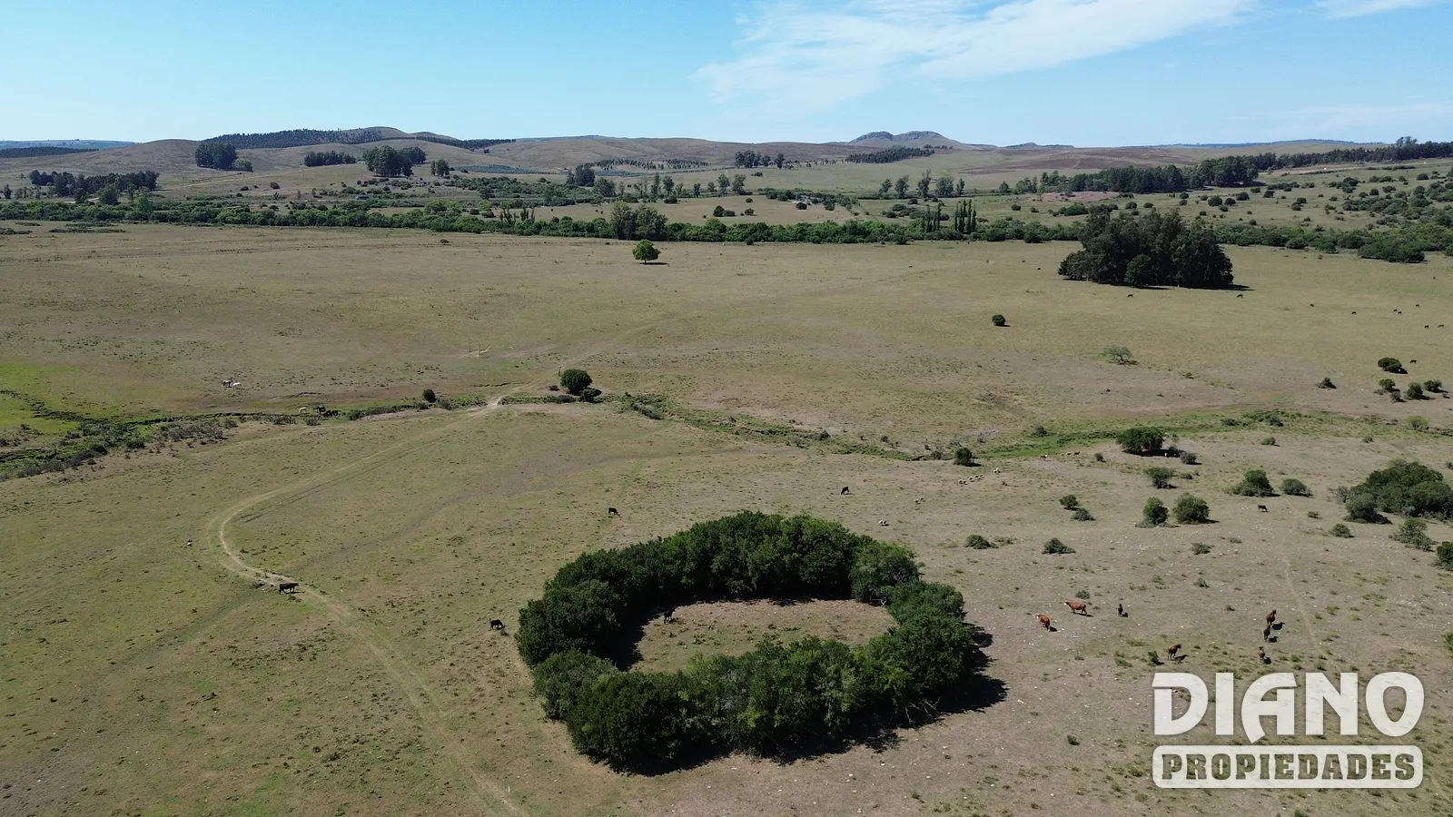 Ruta 8, campo criador