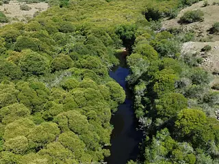 Ruta 8, campo criador