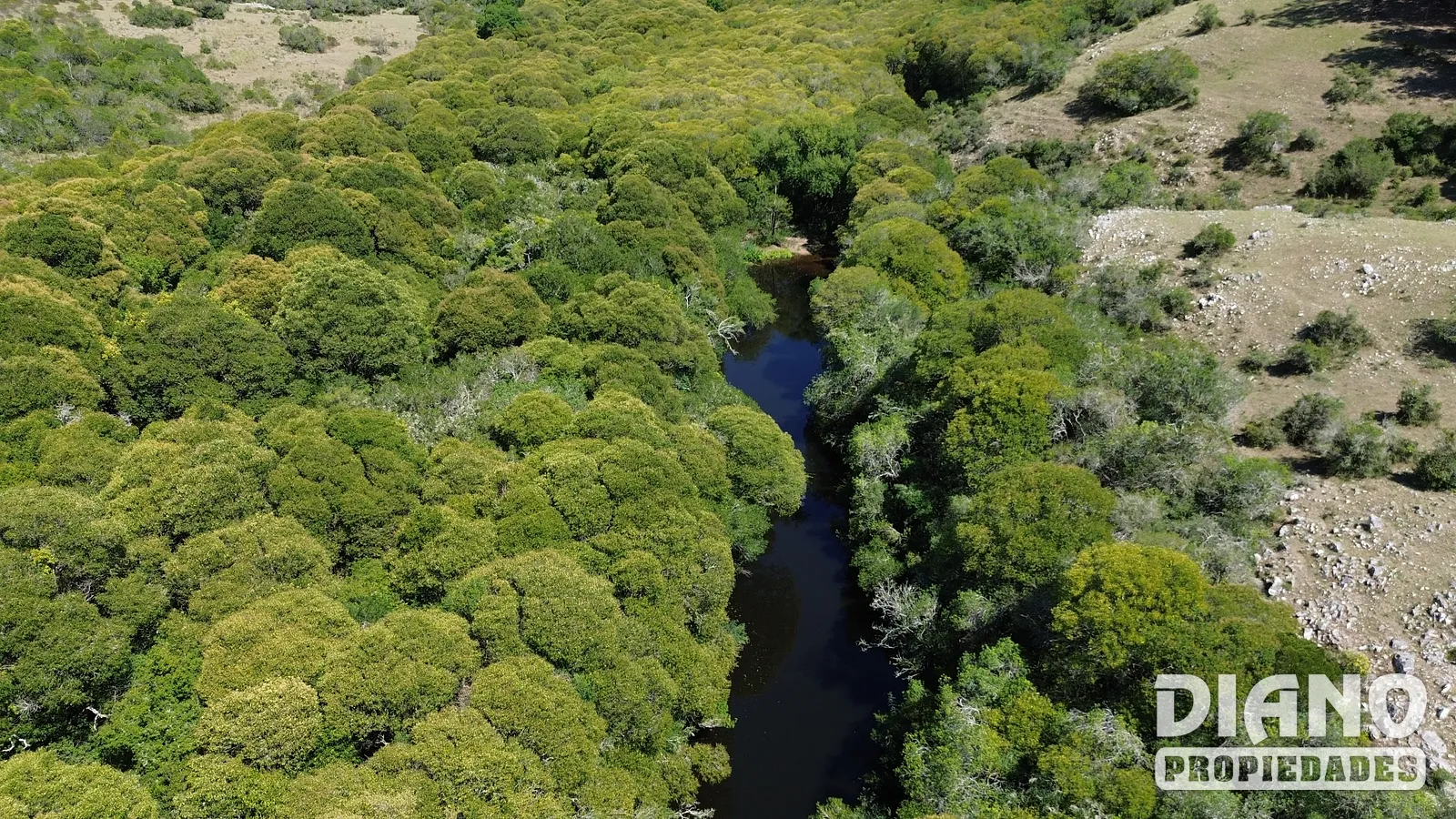 Ruta 8, campo criador
