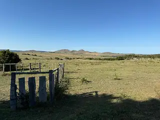 Ruta 8, campo criador