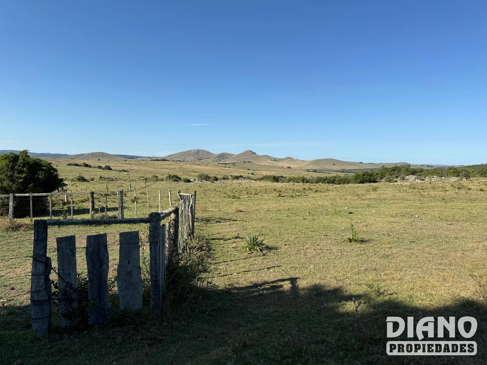 Ruta 8, campo criador