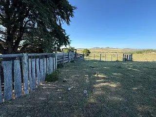 Ruta 8, campo criador