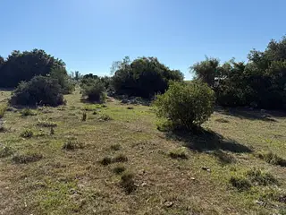 Ruta 8, campo criador