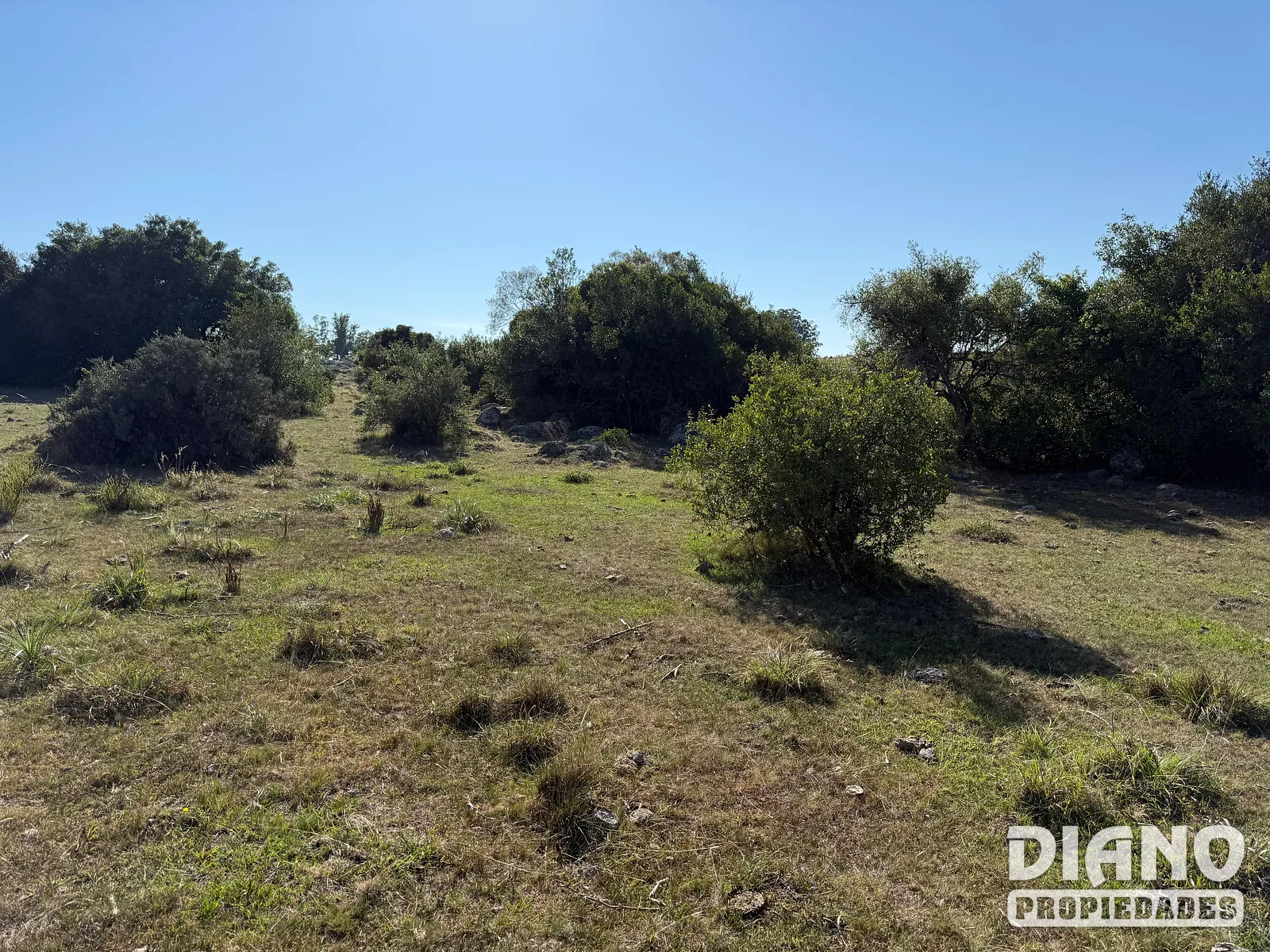 Ruta 8, campo criador