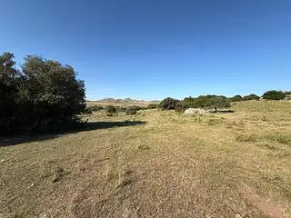 Ruta 8, campo criador